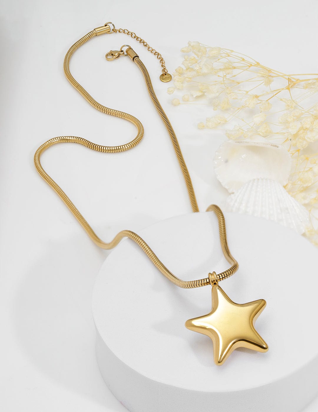 Rubans Voguish 18K Gold Plated Stainless Steel Tarnish-Free Waterproof Star Pendant Necklace