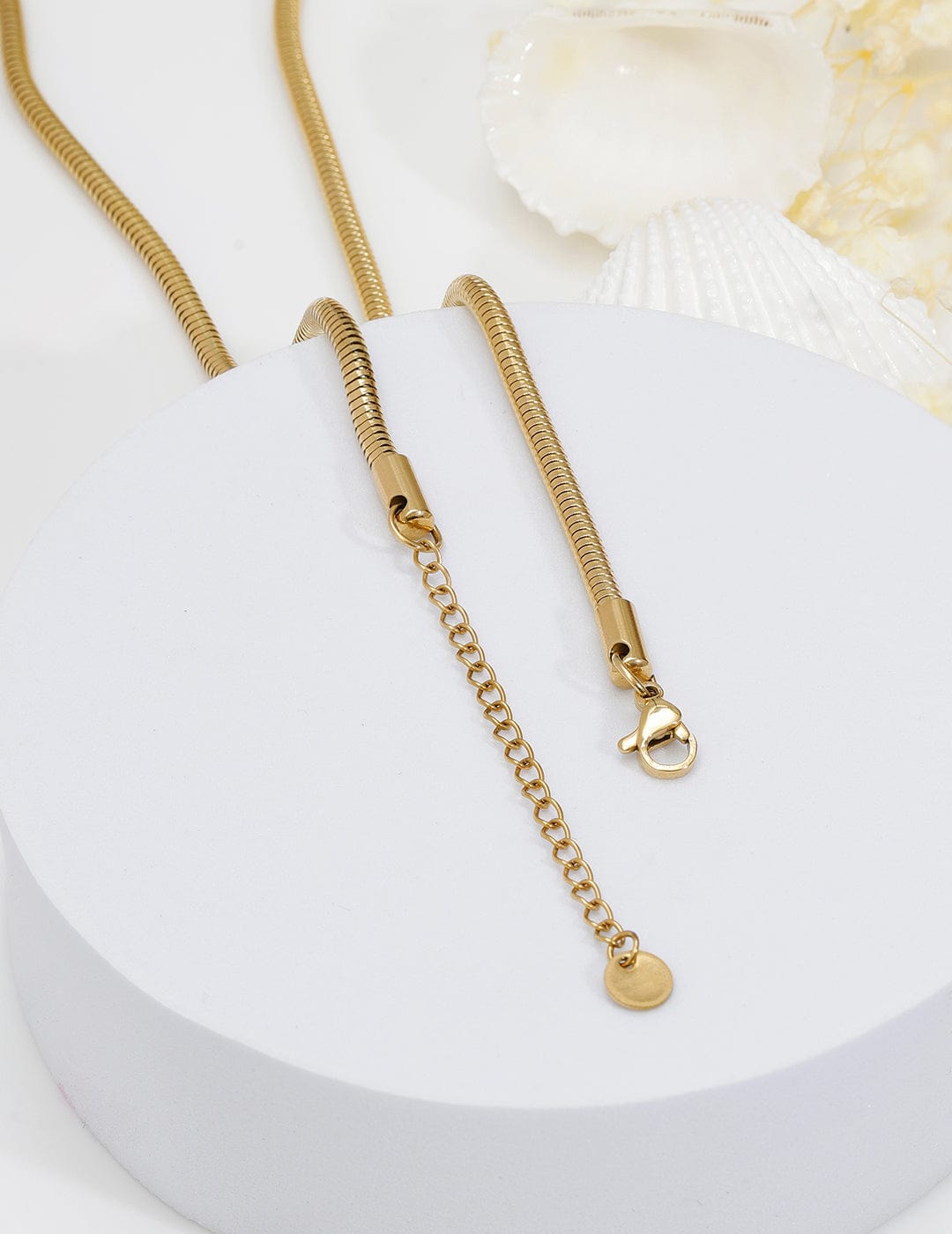 Rubans Voguish 18K Gold Plated Stainless Steel Tarnish-Free Waterproof Star Pendant Necklace